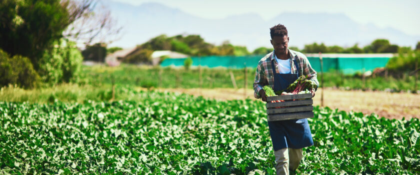 south african farming industry